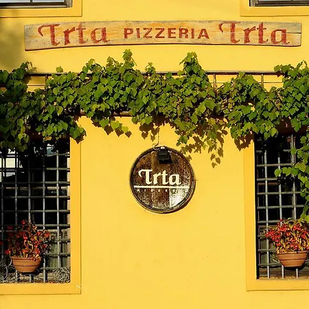 Apartament House Trta