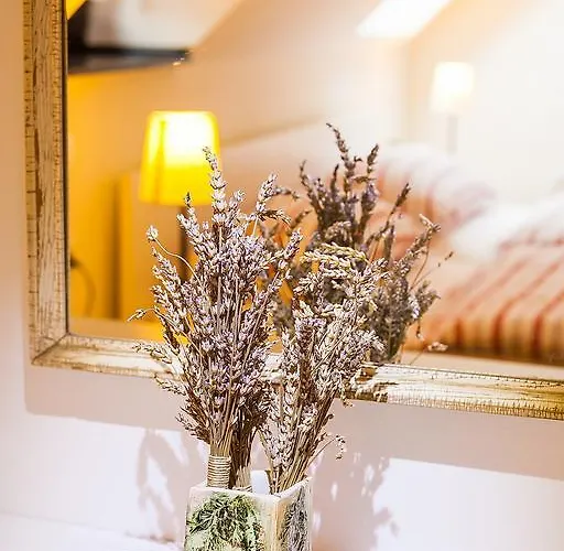 Apartament House Trta *