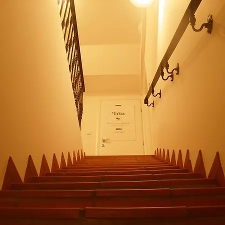 Apartment House Trta *