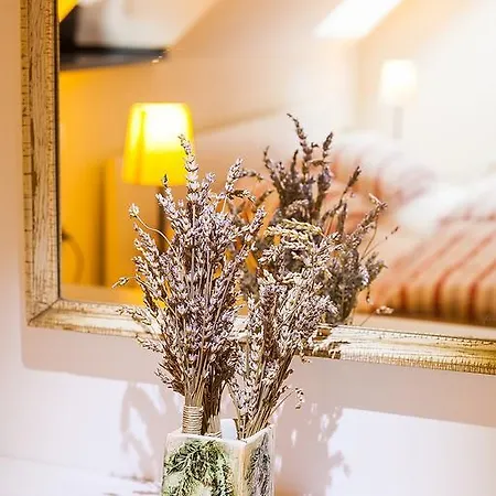 Appartement House Trta *